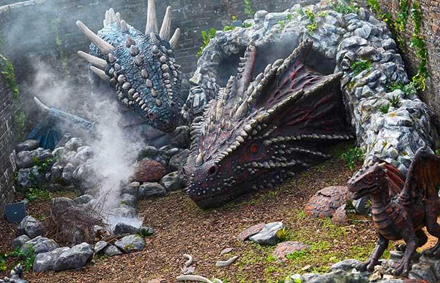 Caerphilly Dragons